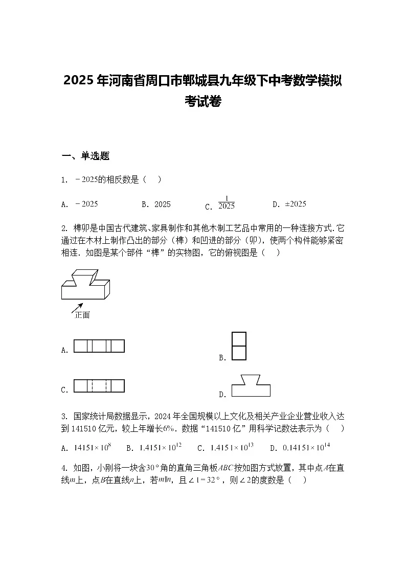 2025年河南省周口市郸城县九年级下中考数学模拟考试卷(含答案解析)第1页