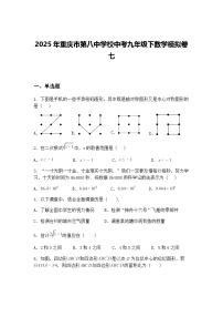 2025年重庆市第八中学校中考九年级下数学模拟卷七（含答案解析）