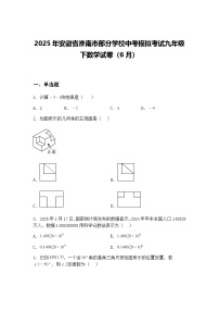 2025年安徽省淮南市部分学校中考模拟考试九年级下数学试卷（6月）（含答案解析）