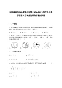 新疆维吾尔自治区喀什地区2024-2025学年九年级下学期3月学业测评数学模拟试题（含答案解析）