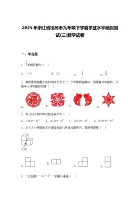 2025年浙江省杭州市九年级下学期学业水平模拟测试(三)数学试卷（含答案解析）