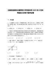 云南省昆明市云南师范大学实验中学2025年6月中考模拟九年级下数学试卷（含答案解析）