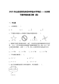 2025年山东省青岛市初中学业水平考试——九年级下数学模拟练习卷（四）（含答案解析）