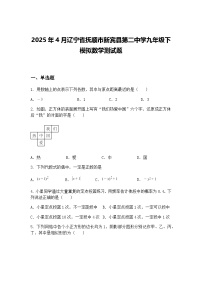 2025年4月辽宁省抚顺市新宾县第二中学九年级下模拟数学测试题（含答案解析）