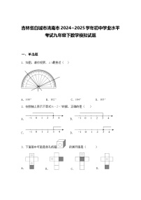 吉林省白城市洮南市2024~2025学年初中学业水平考试九年级下数学模拟试题（含答案解析）