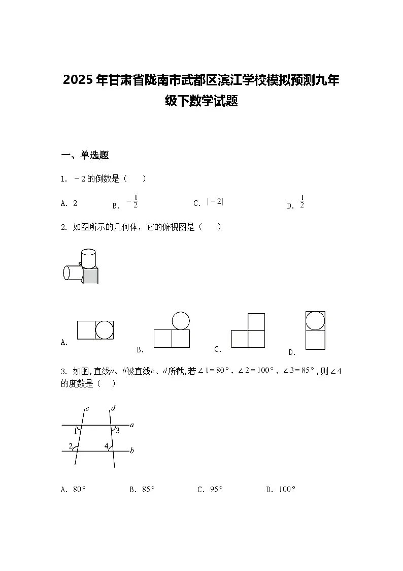 2025年甘肃省陇南市武都区滨江学校模拟预测九年级下数学试题(含答案解析)第1页