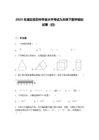 2025年湖北省初中学业水平考试九年级下数学模拟试卷（白）（含答案解析）