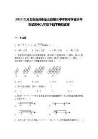 2025年河北省沧州市盐山县第三中学联考学业水平测试初中九年级下数学模拟试卷（含答案解析）