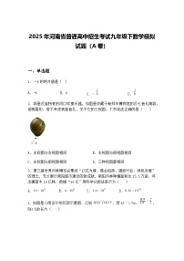 2025年河南省普通高中招生考试九年级下数学模拟试题（A卷）（含答案解析）