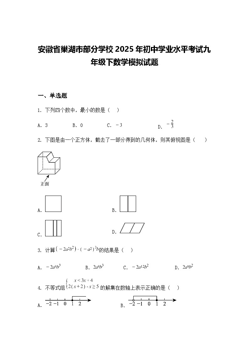 安徽省巢湖市部分学校2025年初中学业水平考试九年级下数学模拟试题(含答案解析)第1页