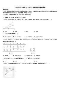 2024-2025学年九江市九江县中考数学押题试卷含解析
