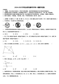 2024-2025学年台州市温岭市中考一模数学试题含解析