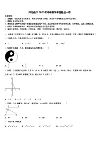 井冈山市2025年中考数学考前最后一卷含解析