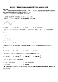 丽江地区宁蒗彝族自治县2025届初中数学毕业考试模拟冲刺卷含解析