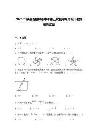 2025年陕西省榆林市中考第五次模考九年级下数学模拟试题（含答案解析）