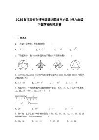 2025年甘肃省张掖市肃南裕固族自治县中考九年级下数学模拟预测卷(含答案解析)