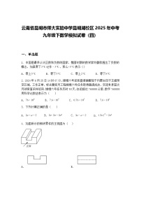 云南省昆明市师大实验中学昆明湖校区2025年中考九年级下数学模拟试卷（四）（含答案解析）