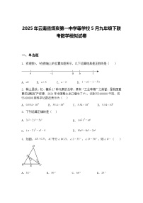 2025年云南省煤炭第一中学等学校5月九年级下联考数学模拟试卷（含答案解析）