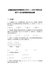 云南临沧地区中学等学校2024——2025学年九年级下5月大联考数学模拟试卷（含答案解析）