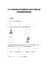 2025年四川省乐山市五通桥区九年级下毕业复习适应性检测数学模拟试题（含答案解析）