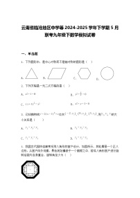 云南省临沧地区中学等2024-2025学年下学期5月联考九年级下数学模拟试卷（含答案解析）