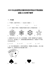 2025年山东省枣庄市滕州市初中学业水平考试模拟试题(三)九年级下数学（含答案解析）