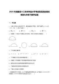 2025年湖南省十三市州学业水平考试阶段测试模拟预测九年级下数学试题（含答案解析）