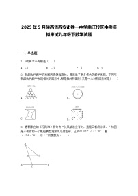 2025年5月陕西省西安市铁一中学曲江校区中考模拟考试九年级下数学试题（含答案解析）