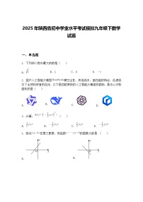 2025年陕西省初中学业水平考试模拟九年级下数学试题（含答案解析）