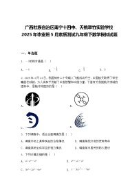 广西壮族自治区南宁十四中、天桃翠竹实验学校2025年毕业班5月素质测试九年级下数学模拟试题（含答案解析）