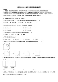 儋州市2025届中考数学模拟精编试卷含解析