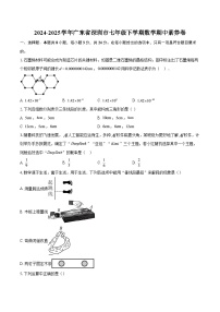 2024-2025学年广东省深圳市七年级下学期数学期中素养卷-自定义类型