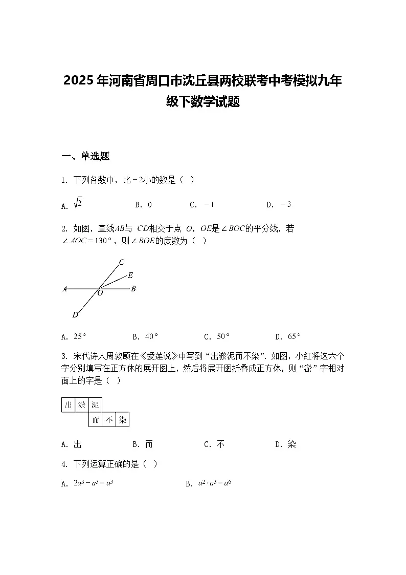 2025年河南省周口市沈丘县两校联考中考模拟九年级下数学试题(含答案解析)第1页