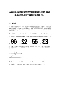云南省昆明市师大实验中学昆明湖校区2024-2025学年中考九年级下数学模拟试卷（七）（含答案解析）