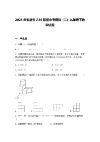 2025年安徽省A16联盟中考模拟（二）九年级下数学试题（含答案解析）