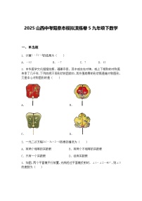 2025山西中考阳泉市模拟演练卷5九年级下数学（含答案解析）