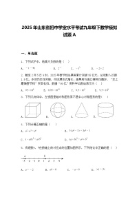 2025年山东省初中学业水平考试九年级下数学模拟试题A（含答案解析）