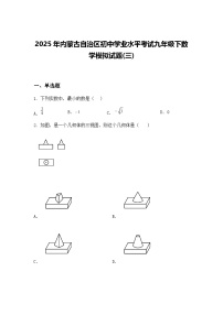 2025年内蒙古自治区初中学业水平考试九年级下数学模拟试题(三)（含答案解析）