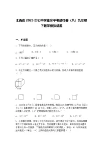 江西省2025年初中学业水平考试样卷（八）九年级下数学模拟试题（含答案解析）