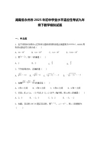 湖南省永州市2025年初中学业水平适应性考试九年级下数学模拟试题（含答案解析）