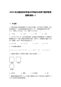2025年云南省初中学业水平考试九年级下数学联考密卷(模拟一)（含答案解析）