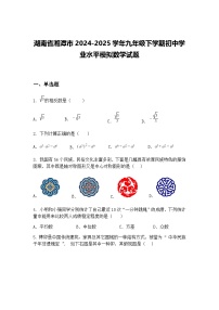 湖南省湘潭市2024-2025学年九年级下学期初中学业水平模拟数学试题（含答案解析）