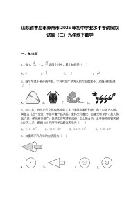 山东省枣庄市滕州市2025年初中学业水平考试模拟试题(二)九年级下数学(含答案解析)