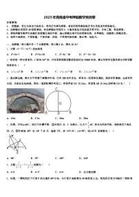 2025年青海省中考押题数学预测卷含解析