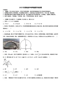 2025年青海省中考押题数学预测卷含解析