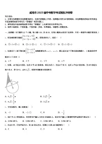威海市2025届中考数学考试模拟冲刺卷含解析
