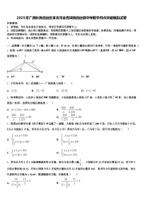 2025年广西壮族自治区来宾市金秀瑶族自治县中考数学对点突破模拟试卷含解析