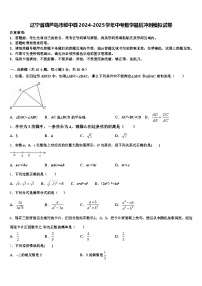 辽宁省葫芦岛市绥中县2024-2025学年中考数学最后冲刺模拟试卷含解析