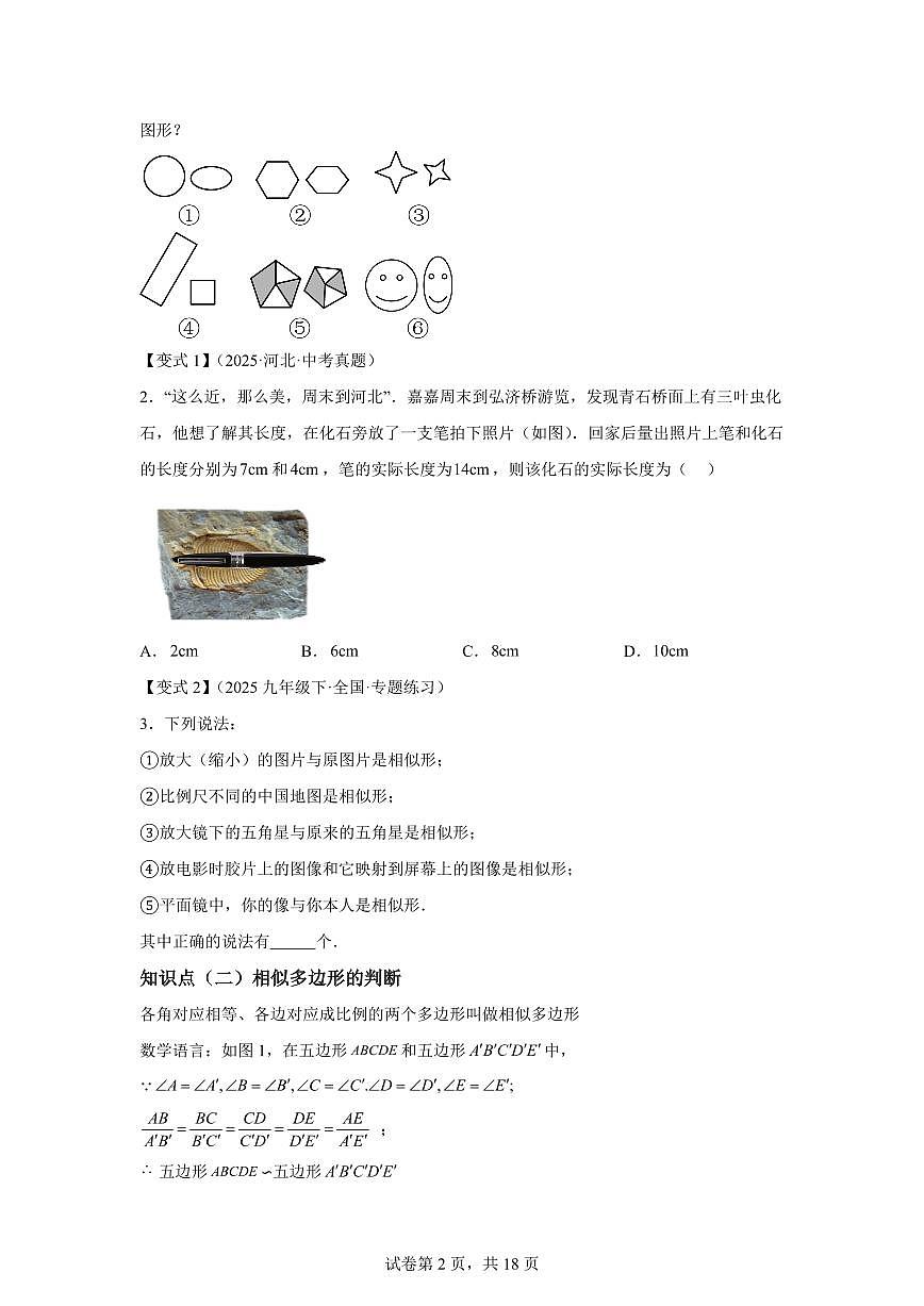 专题4.3相似多边形(知识梳理+题型精析)2025_2026学年九年级数学上学期(北师大版)附答案第2页
