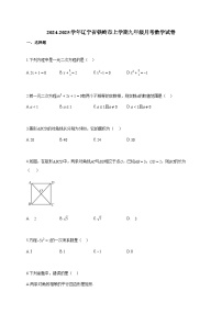 2024~2025学年辽宁省铁岭市上册九年级月考数学试卷（含答案）